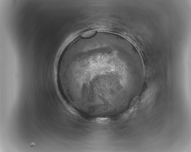 X0000113100055200908281356