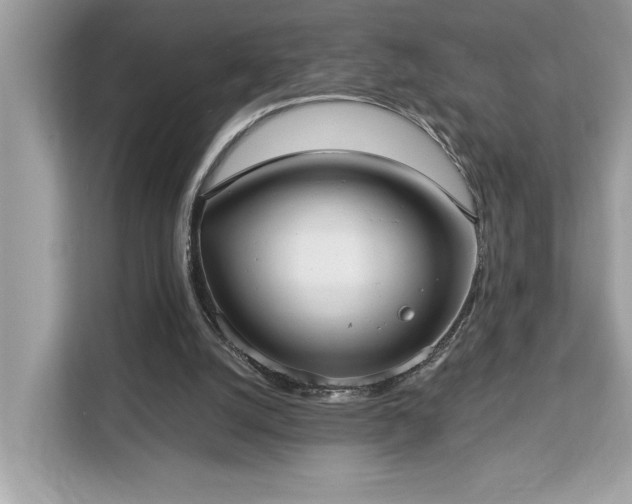 X0000113100056200908281356
