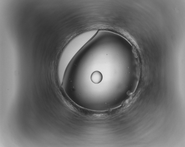 X0000113100057200908281356