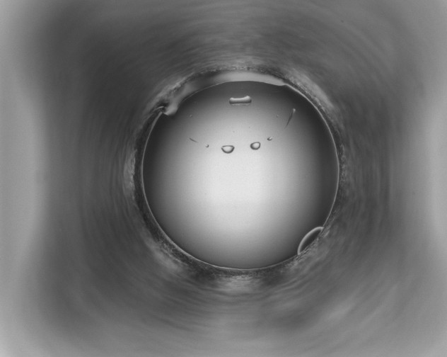 X0000113100058200908281356