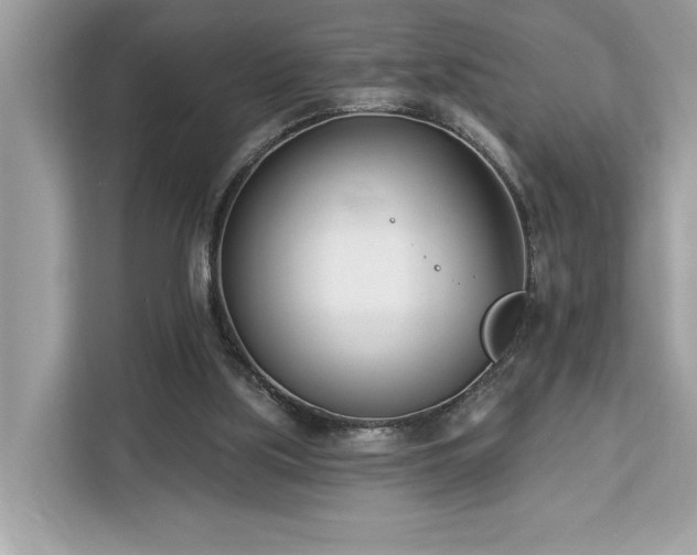 X0000113100059200908281356