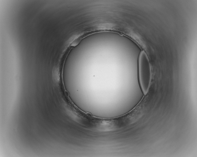 X0000113100060200908281356