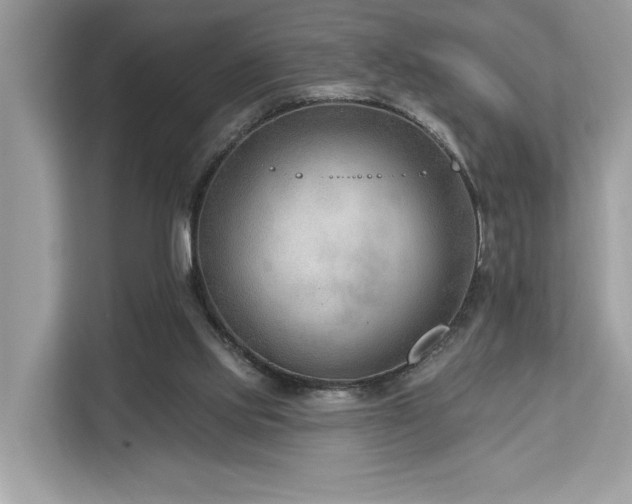 X0000113100061200908281356