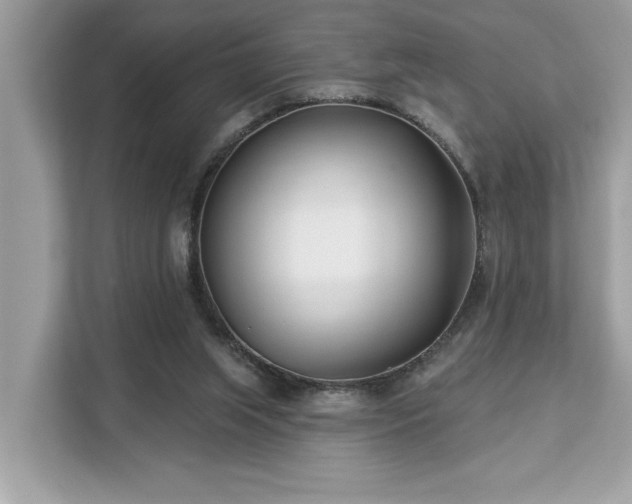 X0000113100063200908281356