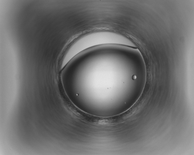 X0000113100064200908281356