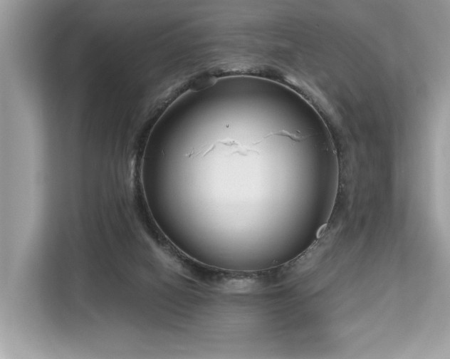 X0000113100066200908281356