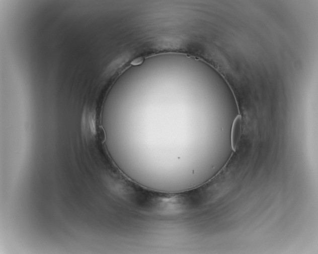 X0000113100068200908281356
