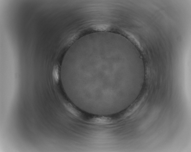 X0000113100069200908281356