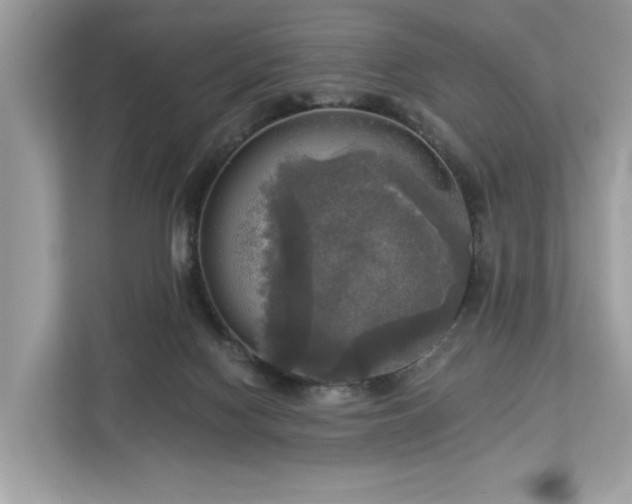 X0000113100074200908281356