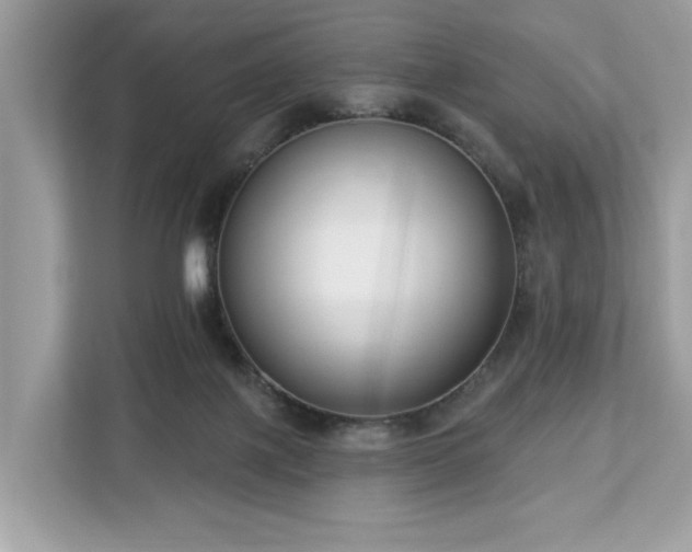 X0000113100075200908281356