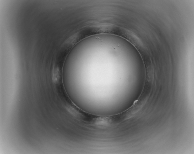 X0000113100077200908281356