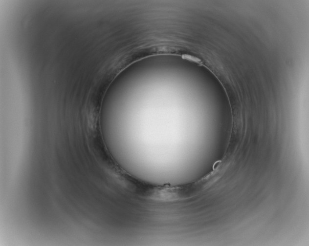 X0000113100078200908281356