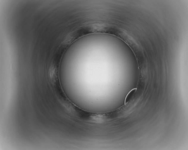 X0000113100079200908281356