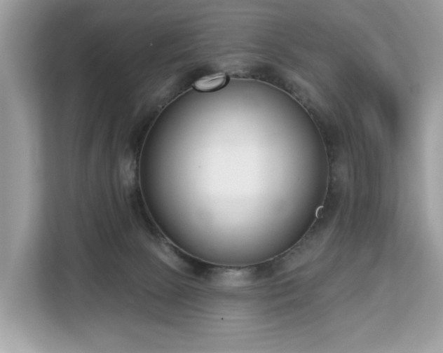 X0000113100081200908281356
