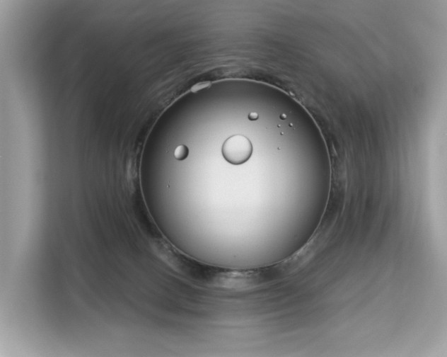 X0000113100082200908281356