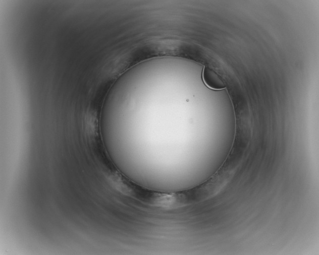 X0000113100083200908281356