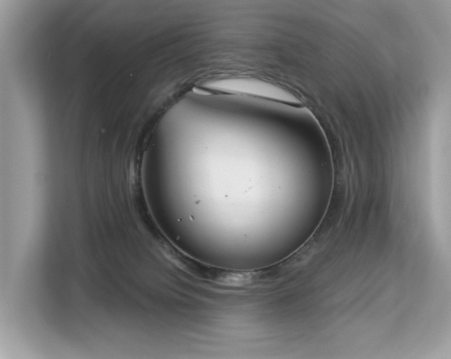 X0000113100084200908281356