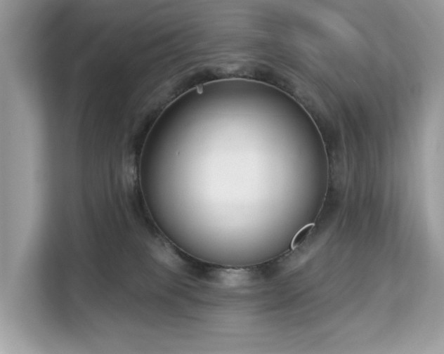 X0000113100085200908281356