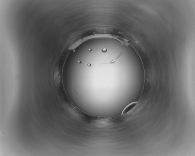 X0000113100086200908281356