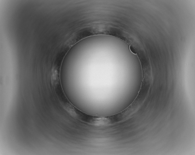 X0000113100087200908281356