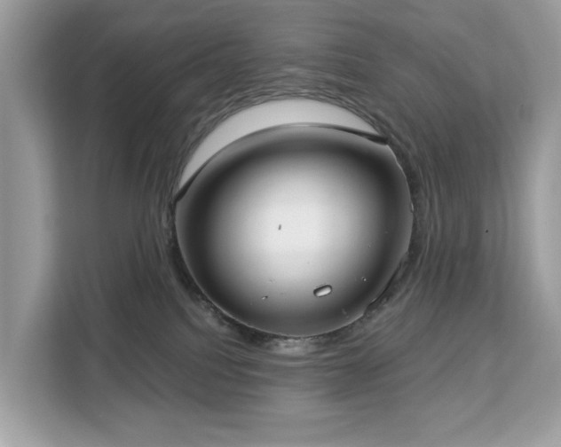 X0000113100088200908281356