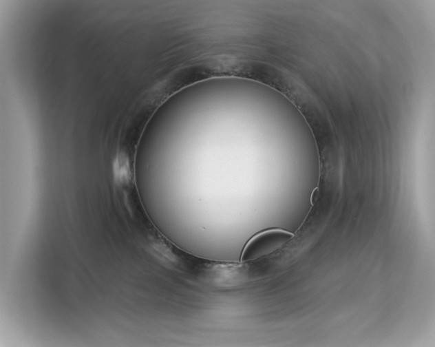 X0000113100089200908281356