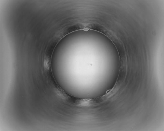 X0000113100090200908281356