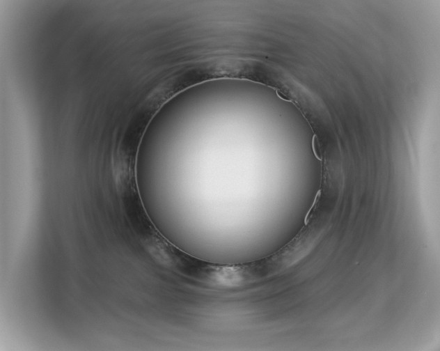 X0000113100091200908281356