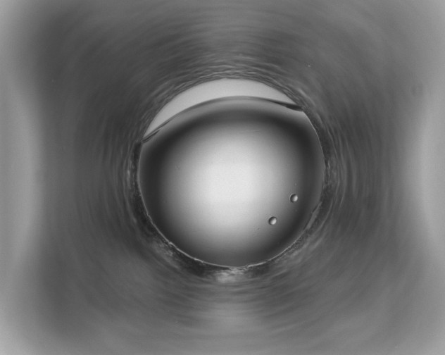 X0000113100092200908281356
