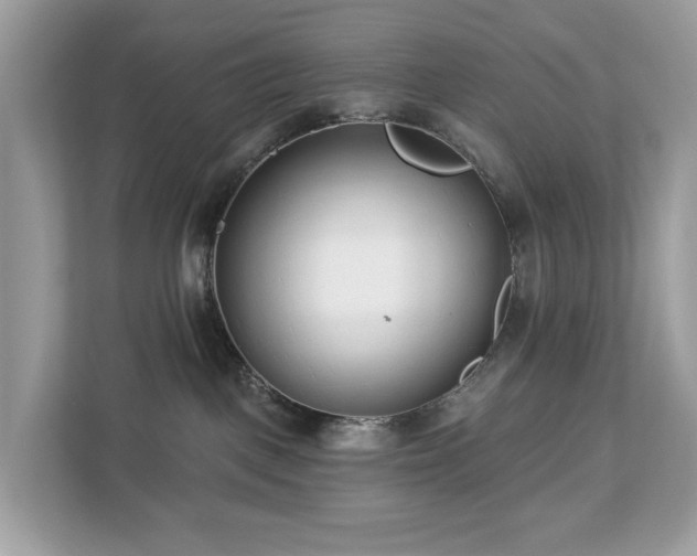 X0000113100093200908281356