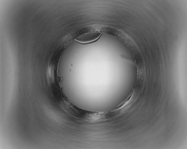 X0000113100094200908281356