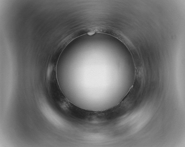 X0000113100095200908281356