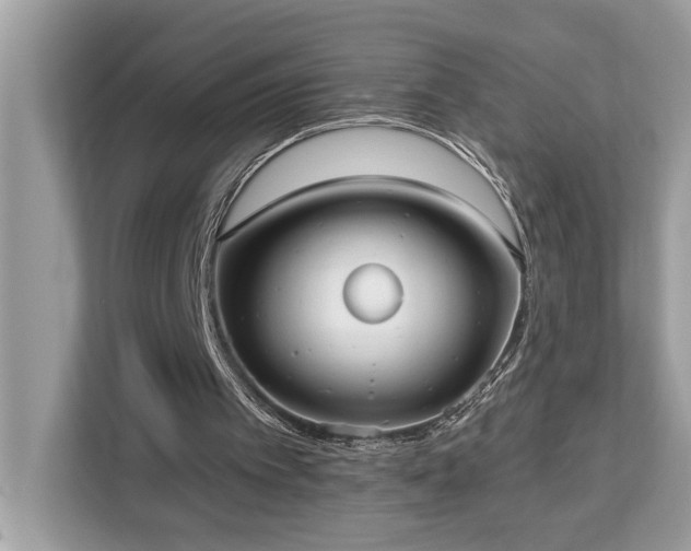 X0000113100097200908281356