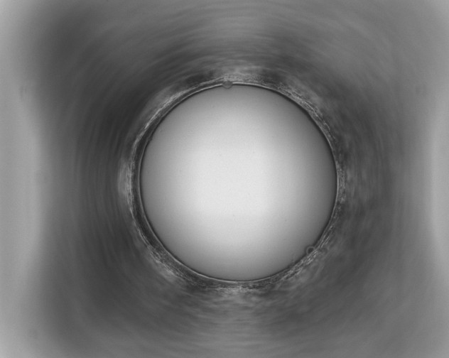 X0000113100098200908281356