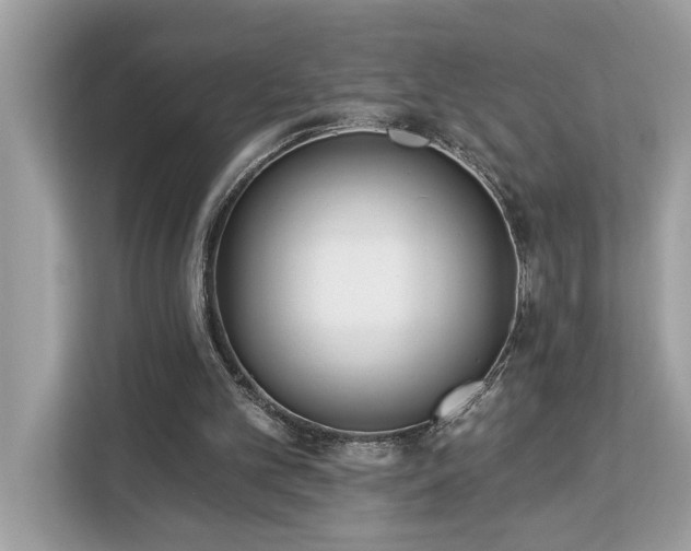 X0000113100101200908281356