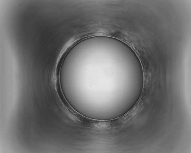 X0000113100102200908281356