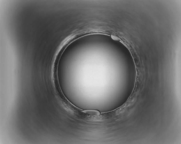 X0000113100104200908281356