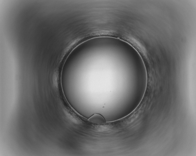 X0000113100107200908281356