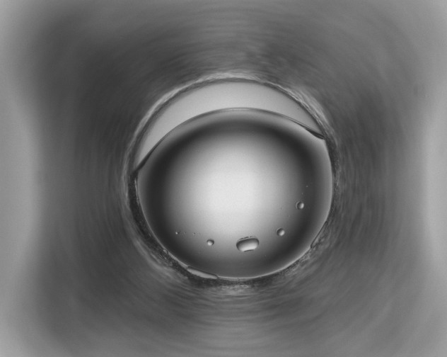 X0000113100108200908281356