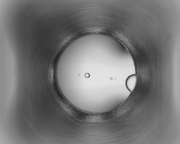 X0000113100110200908281356