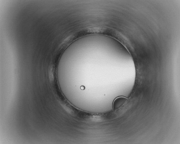X0000113100114200908281356