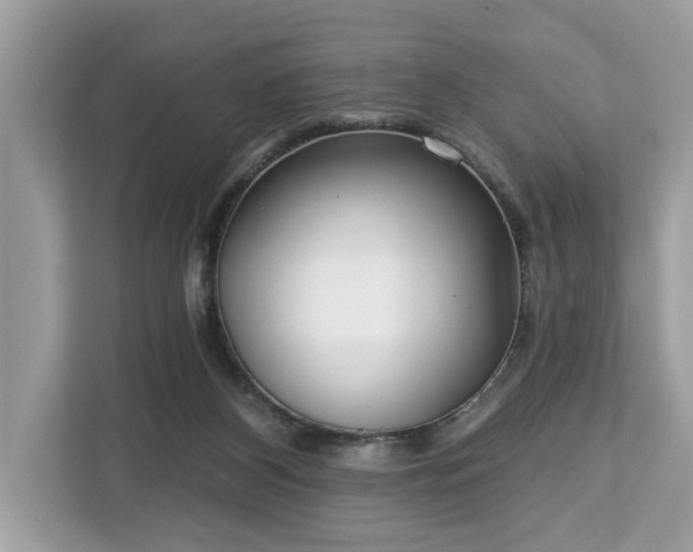 X0000113100116200908281356