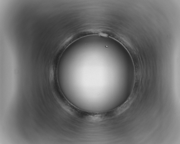 X0000113100120200908281356