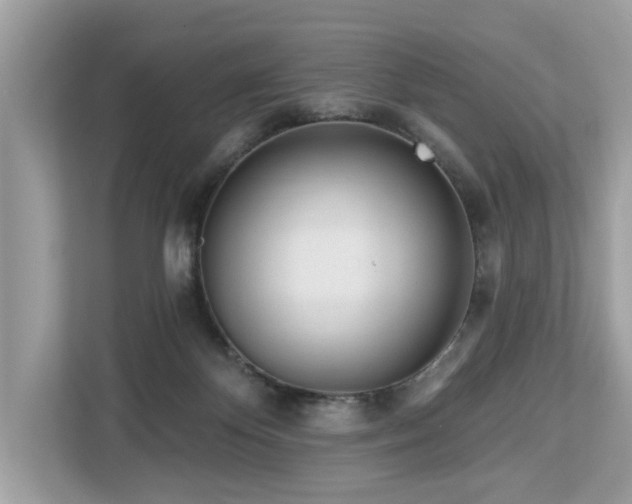 X0000113100124200908281355
