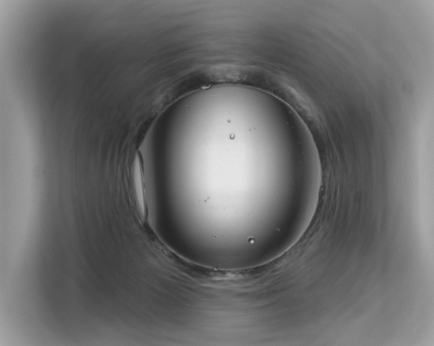 X0000113100125200908281355