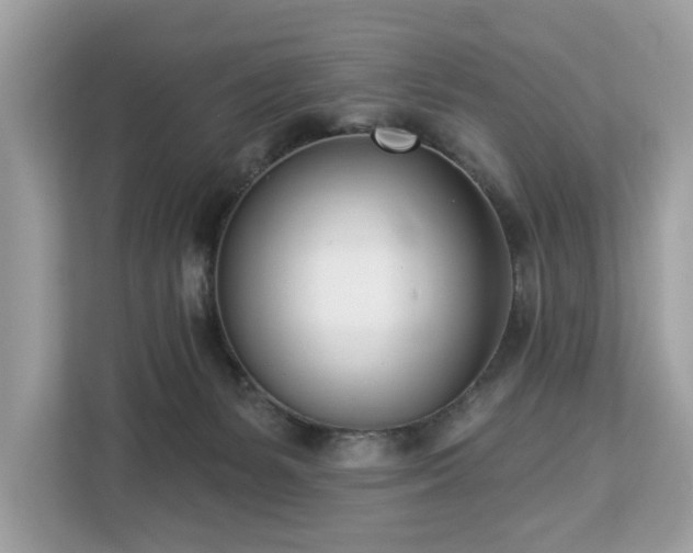 X0000113100127200908281355
