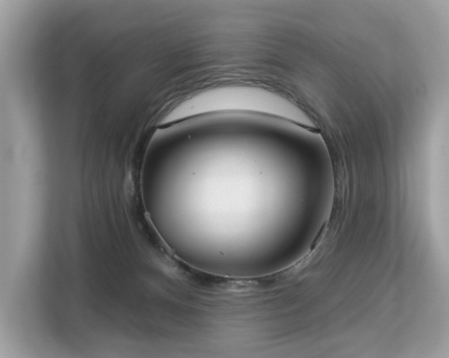 X0000113100128200908281355