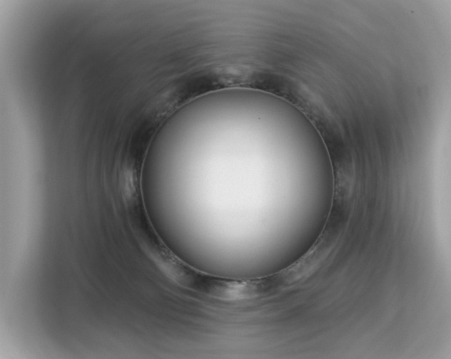 X0000113100130200908281355