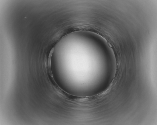 X0000113100132200908281355