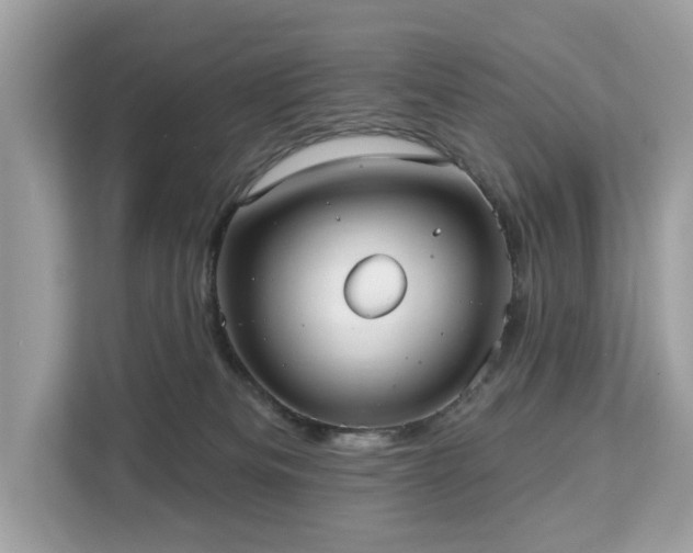 X0000113100133200908281355